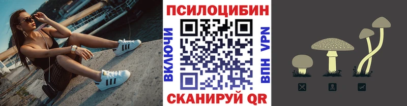 маркетплейс состав  Александров  Псилоцибиновые грибы MAGIC MUSHROOMS  купить  сайты 
